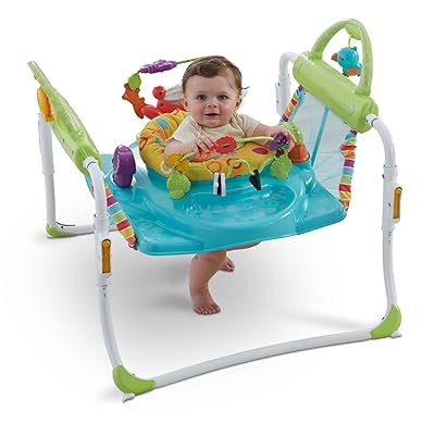 Fisher price first steps jumperoo instructions