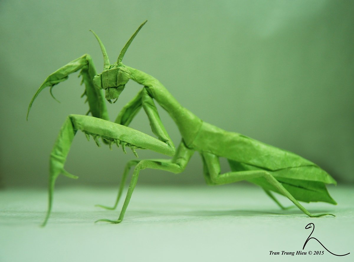 Origami praying mantis instructions