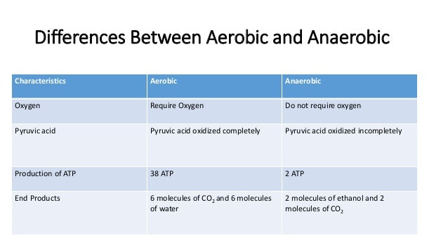 Difference between aerobic and anaerobic fermentation pdf
