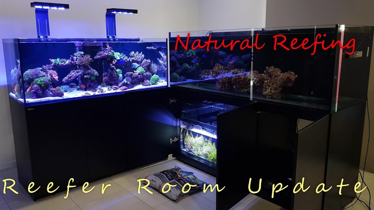 red sea reefer 450 manual