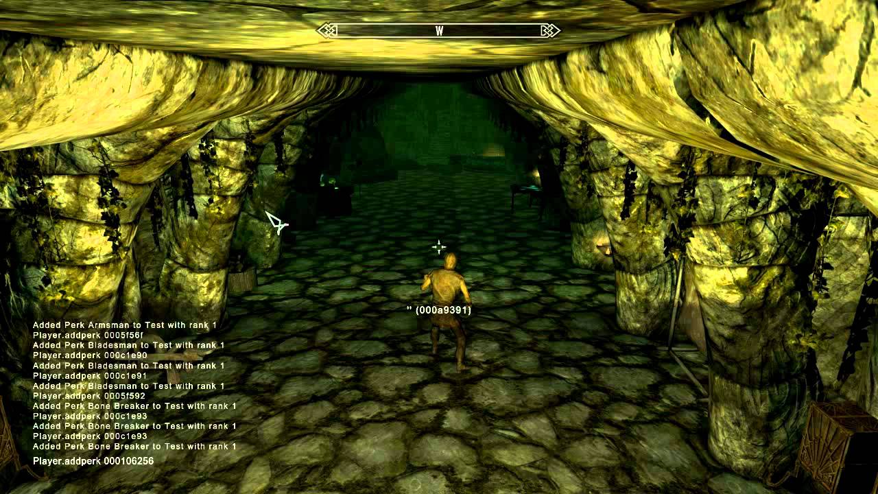 Skyrim how to fly cheat
